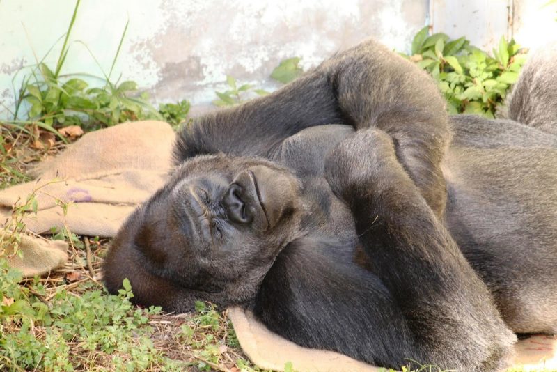 動物園って面白いんですね