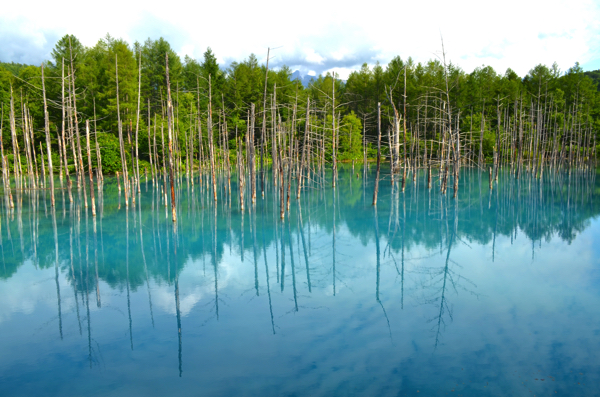 夏の北海道