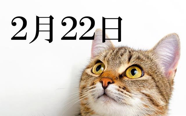 猫の日